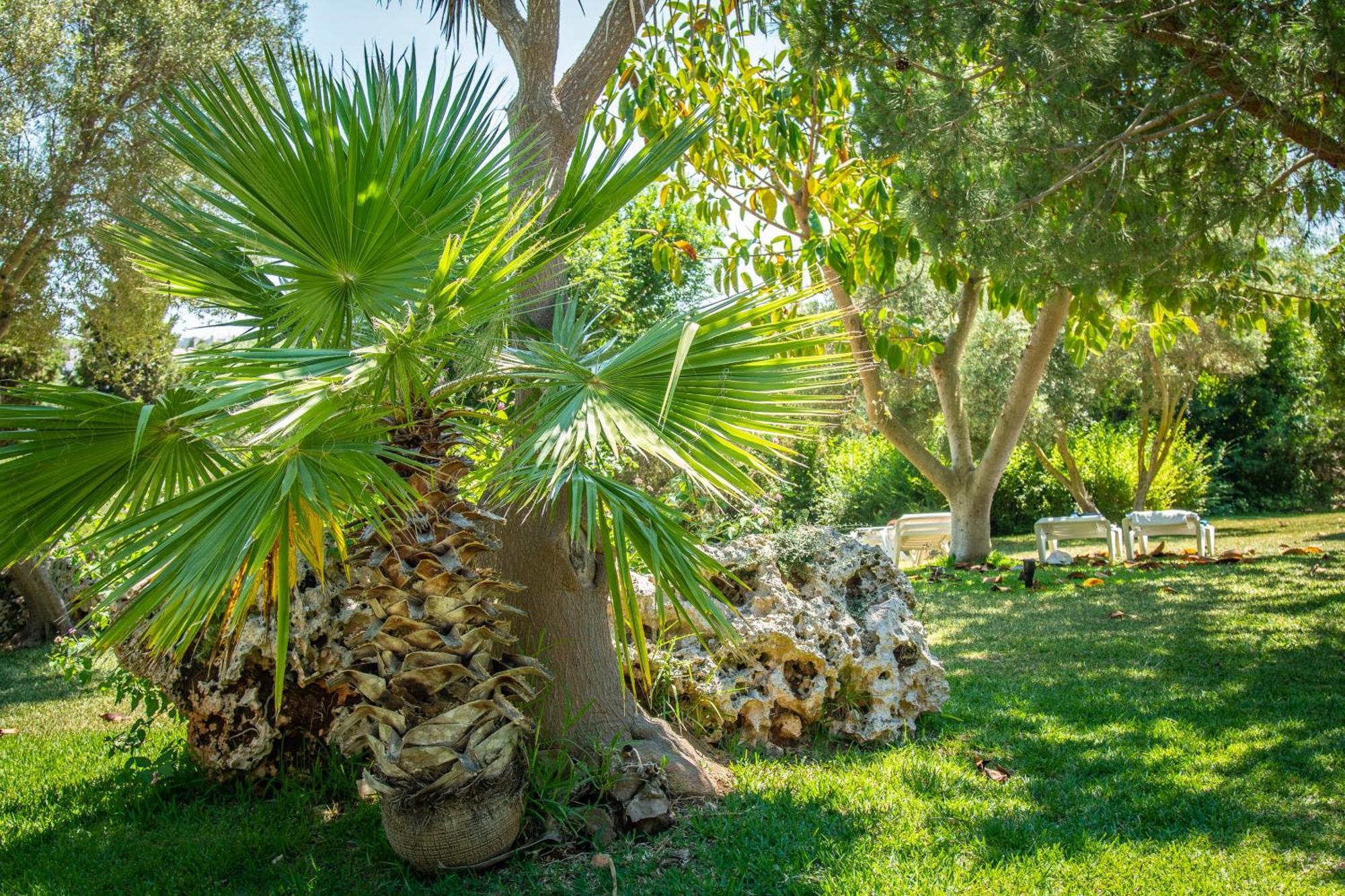 Hotel Club Cala Romani Calas de Mallorca Esterno foto