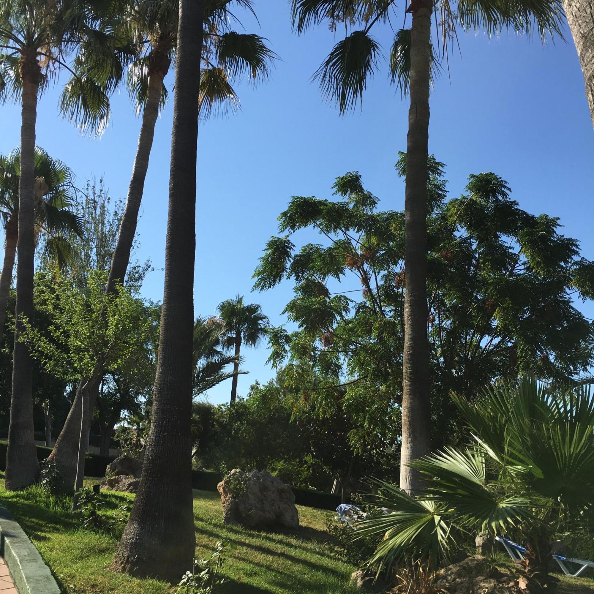 Hotel Club Cala Romani Calas de Mallorca Esterno foto